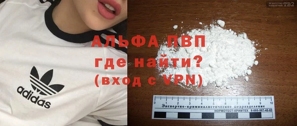 шишки Пестово