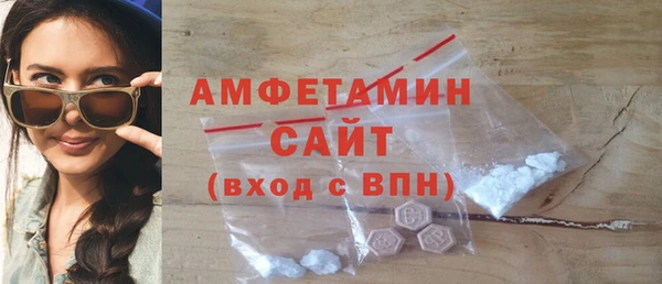 шишки Пестово