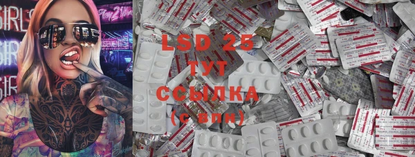шишки Пестово