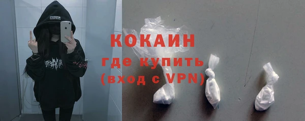 шишки Пестово