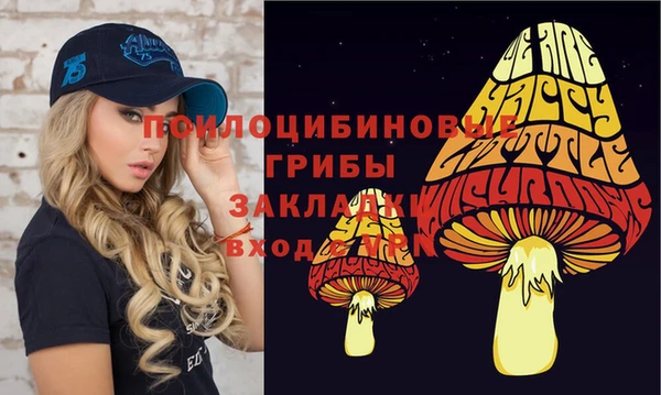 герыч Пересвет