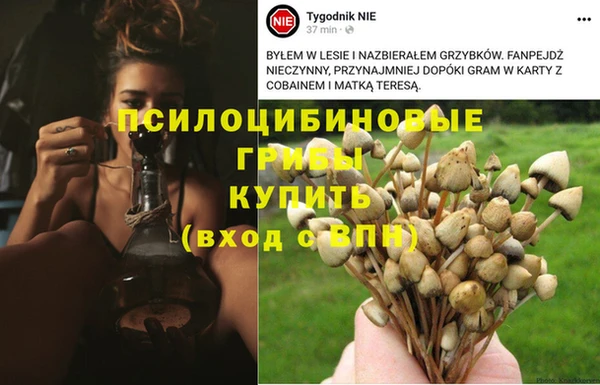 герыч Пересвет