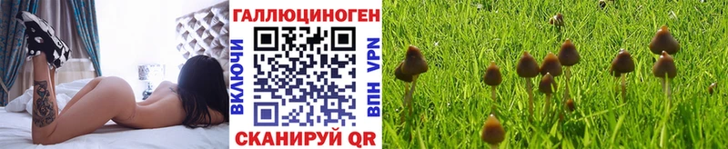 Галлюциногенные грибы ЛСД Купить где Тында